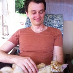 Все суета кроме кота