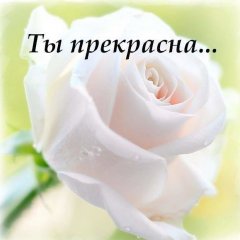 Цветок