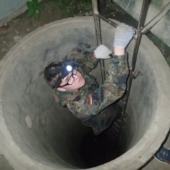 Галл