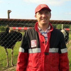 Mju