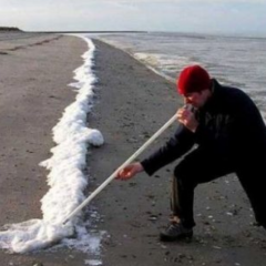 Ноздри