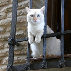 Статистика