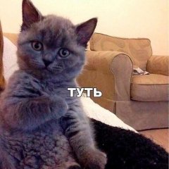 Туть