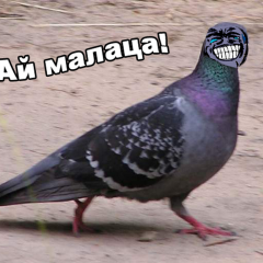 Ай малаца