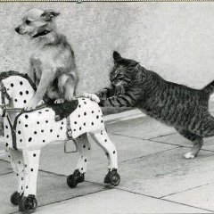 Катись к х