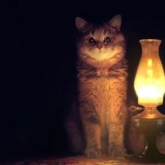 Кот с лампой