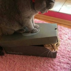 Коттедж