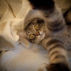 Обнимаю