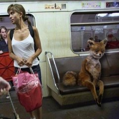 Упоротый в метро