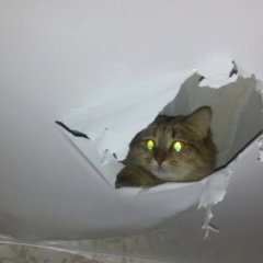 Ввв