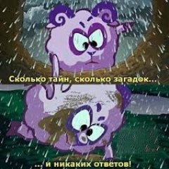 Бараш ищет