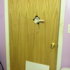 Heres Johnny