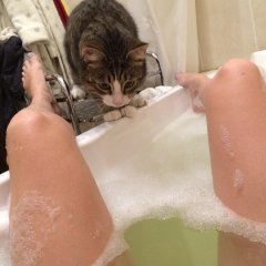 КОТ И БЕЗДНА