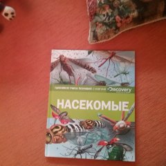 Зеленый