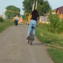 Фелиция харди