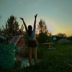 Фелиция харди