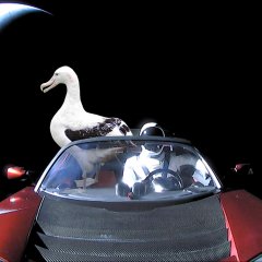 Илон Маск Tesla Roadster Хуй в Рот и ещё ПИТУХ