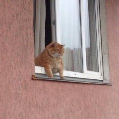 КОТЭ