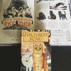 Котики