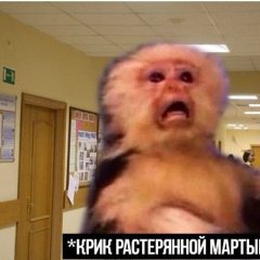 Крик