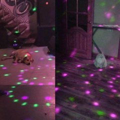 Любая вечеринке после 30-ти лет