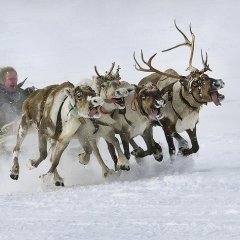 Мы поедем мы помчимся