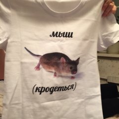 Мыш