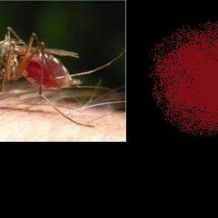 Ой