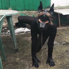 Панин