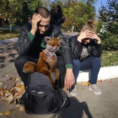Печаль