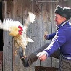 Рашист имперский нашист