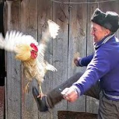 Рашист имперский