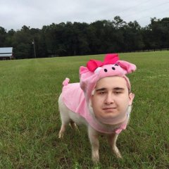 Свин