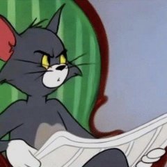 Tom jerry cat
