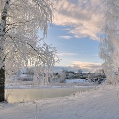 20 дней до декабря