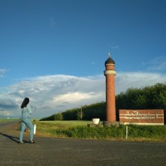 Фелиция харди