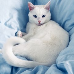 Хочешь меня