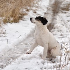 Конец осени