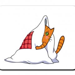 Кот в одеяле