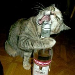 Ну шо бухаем