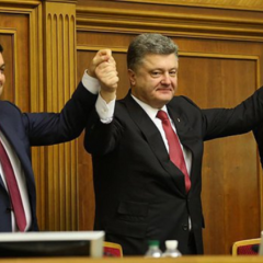 Свиньи