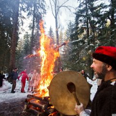 Установка обновления 50