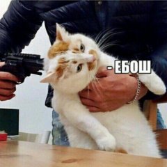 Загоны алыпа