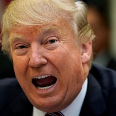 Трампждун