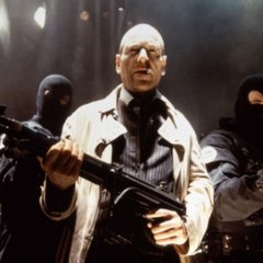 Dobermann welcome to reality baby