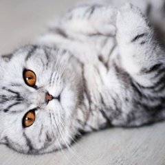 Еее