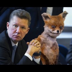 Foxwhy