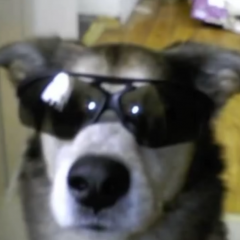 Фывыф