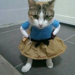К