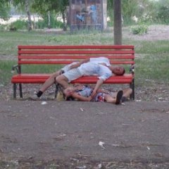 Мои заказы